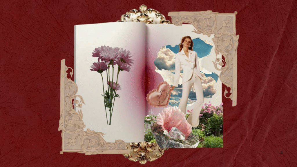 portafolio colecciones