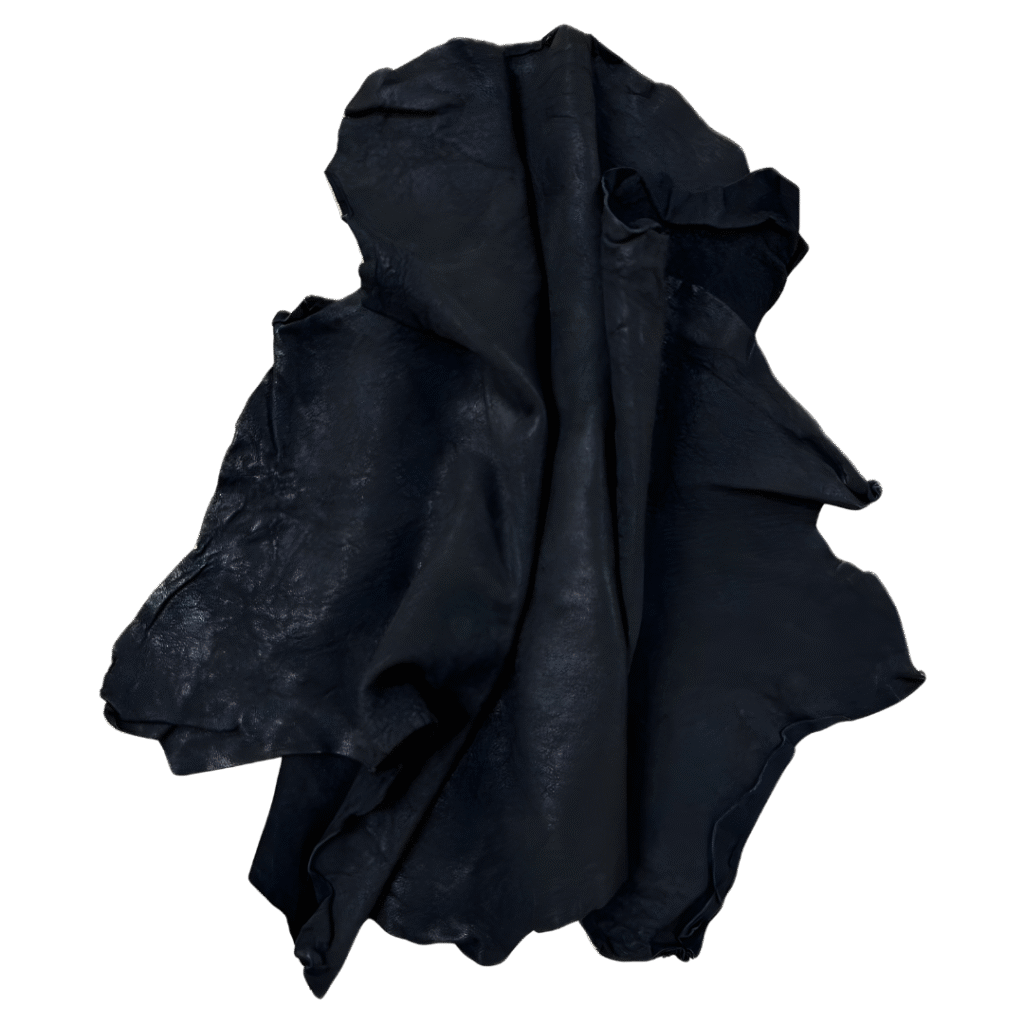 diseño sin título 4