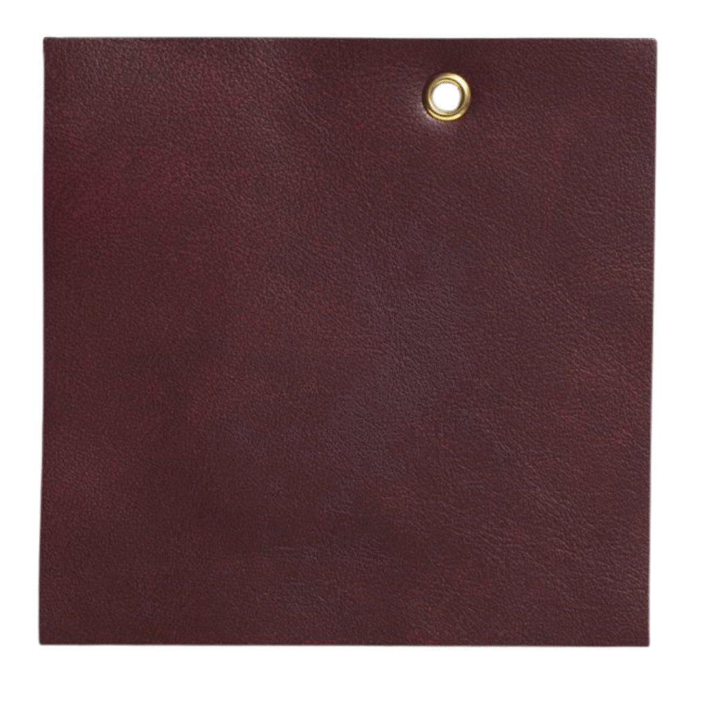 diseño sin título 6