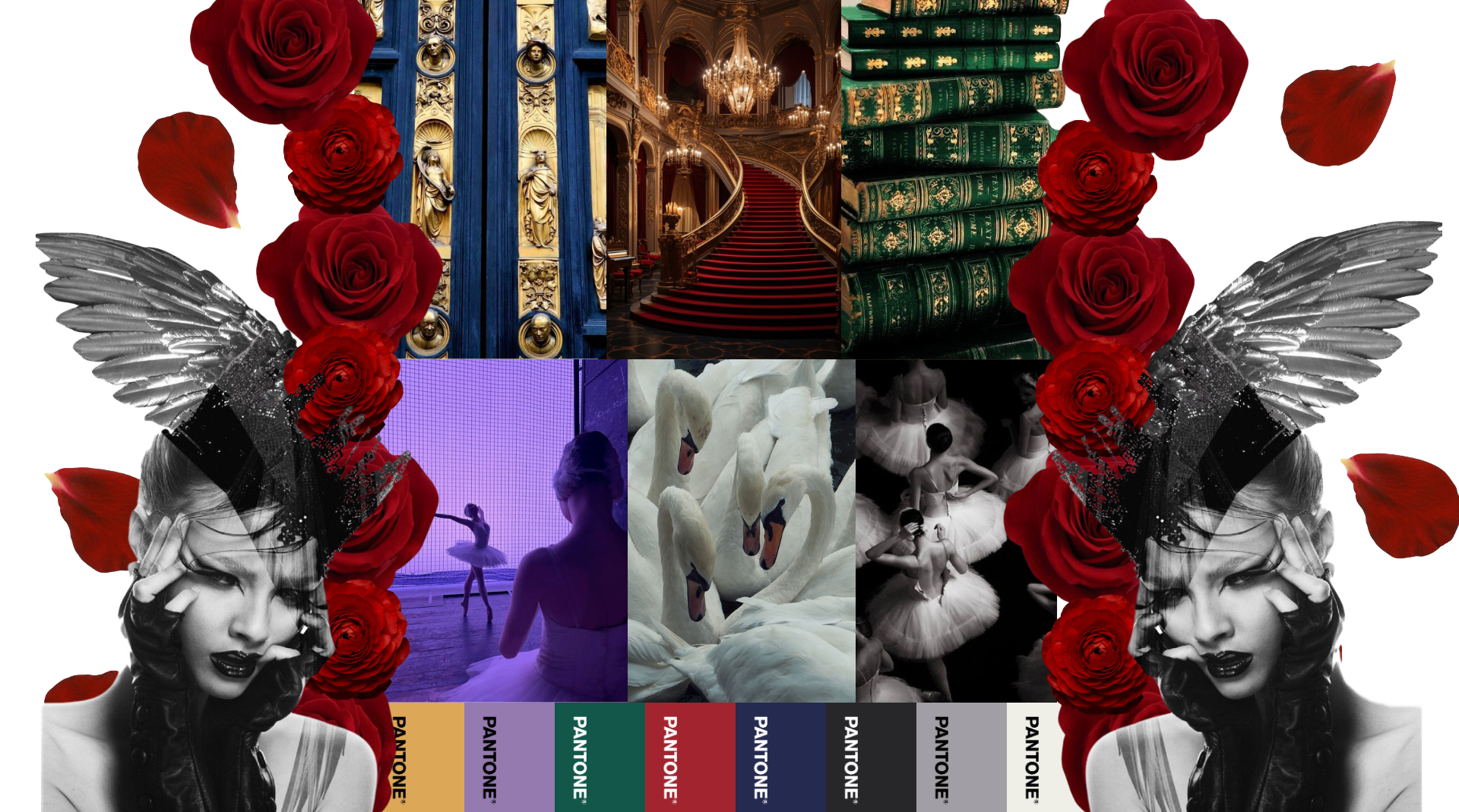 materia portafolio (4)transparente