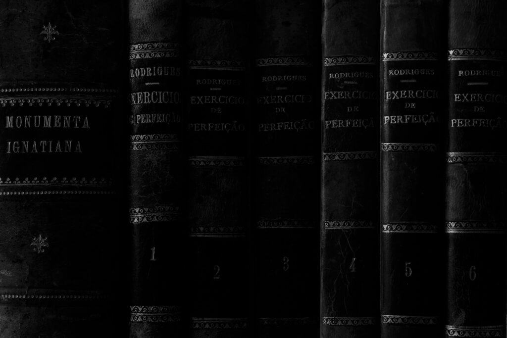 rui silva sj scudswpa95q unsplash